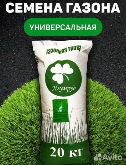 Газонная трава
