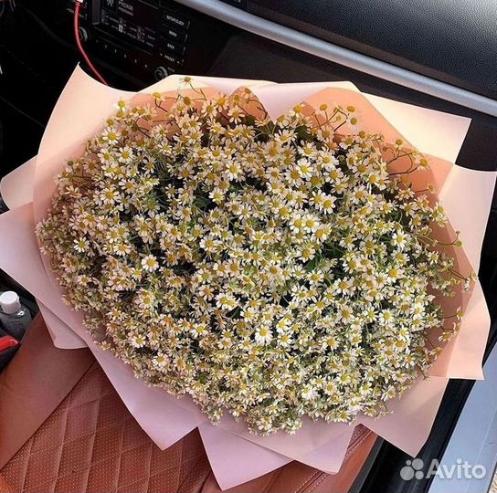 Ромашки Пионы Розы Доставка