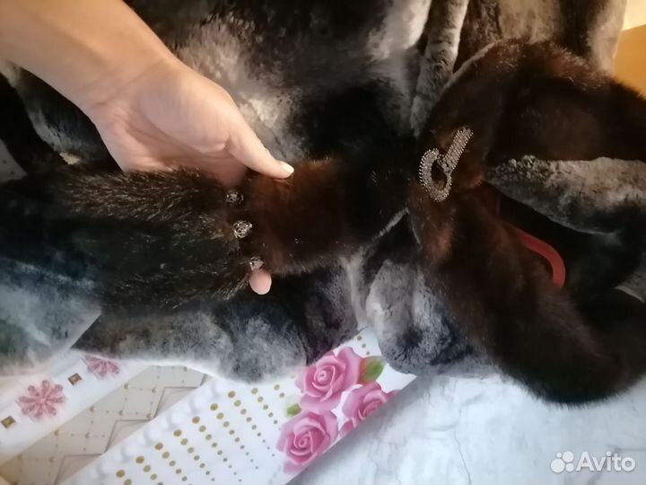 Шуба мутоновая р 52