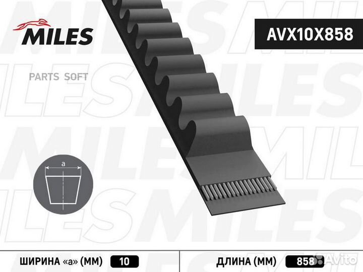 Miles AVX10X858 Ремень приводной клиновой