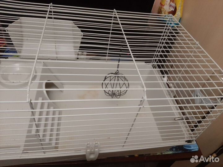 Клетка для морской свинки