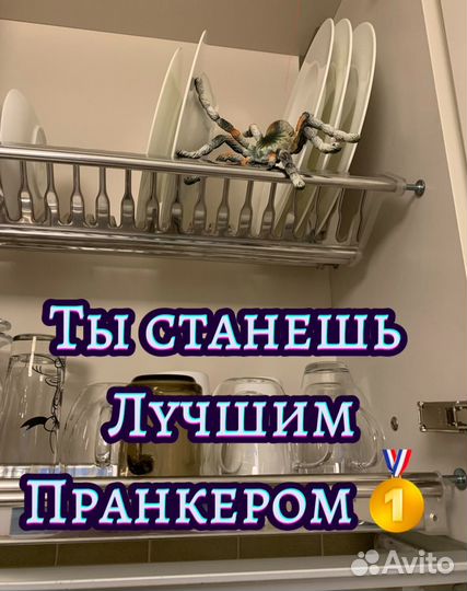 Страшный паук для пранков