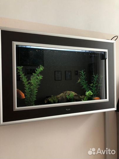 Аквариумы, Пруды обслуживание