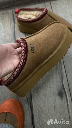 Ugg tazz 40,41