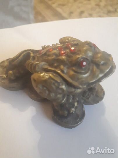 Жаба денежная талисман