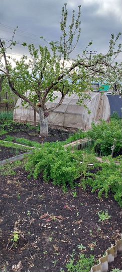 Дача 58 м² на участке 6 сот.