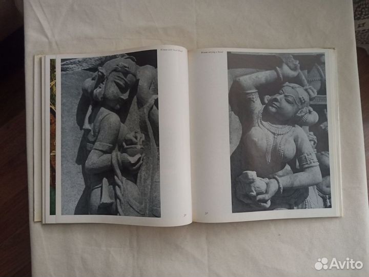 The woman in indian art книга искусство Индии