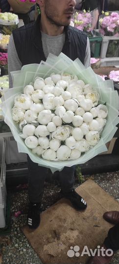 Цветы Букеты Москва