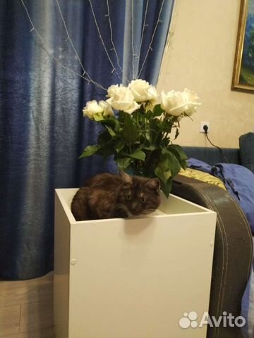 Столик подставка