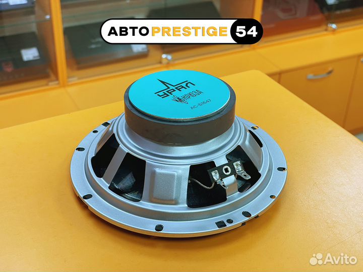 Динамики Урал Бирюза ас-Б1647