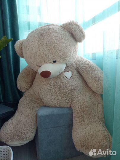 Плюшевый медведь