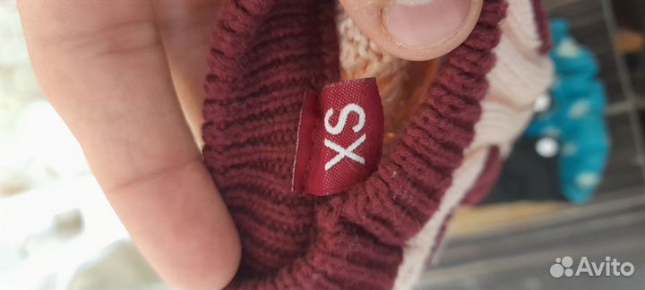 Костюм для собаки