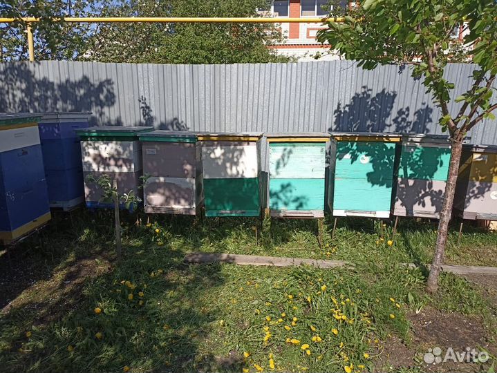 Продам ульи для пчел