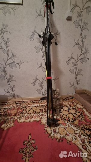 Лыжи беговые nordway 180