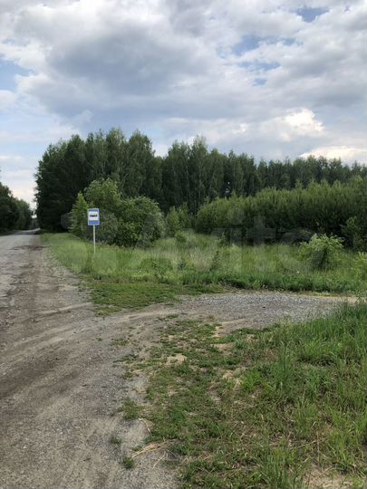 Участок 12 сот. (СНТ, ДНП)