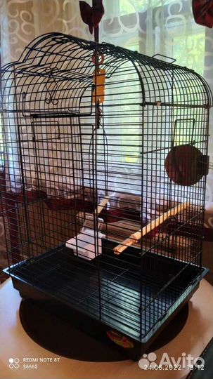 Клетка для среднего попугая