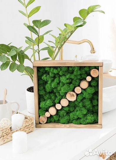 Фито картина подарок декор панно рамка со мхом 2