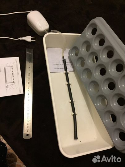 Луковая грядка на подоконнике