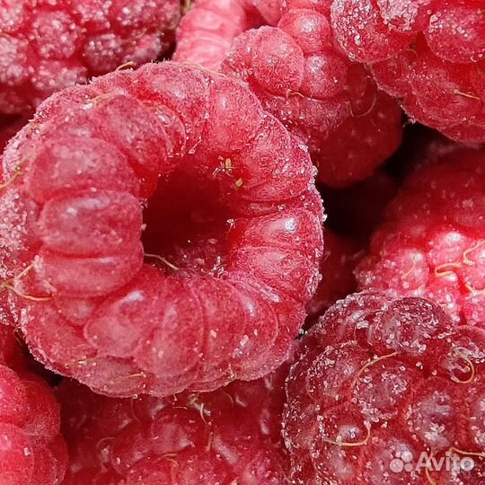 Продам Ягоду Морошка Брусника Черника Клюква