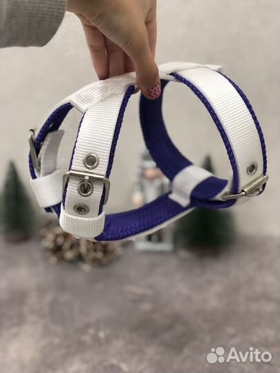 Шлейка, ошейник, поводок для собак