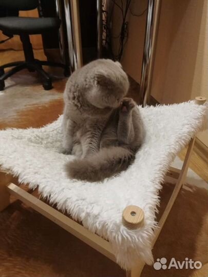 Лежанка - гамак для кота