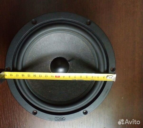 Динамики Canton