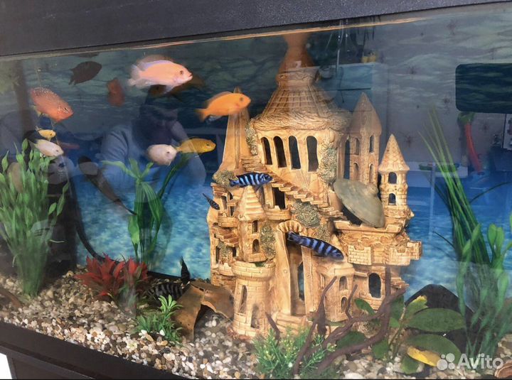 Аквариум 180 литров с тумбой