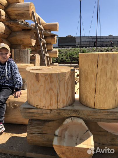 Деревянный пенек