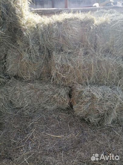 Сено в тюках