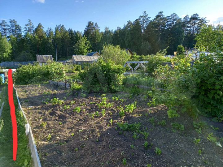 Участок 4,3 сот. (СНТ, ДНП)