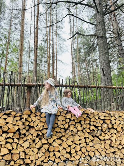 Сон на пчелах, контактный зоопарк,фотосессии