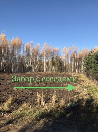 Участок 10 сот. (СНТ, ДНП)