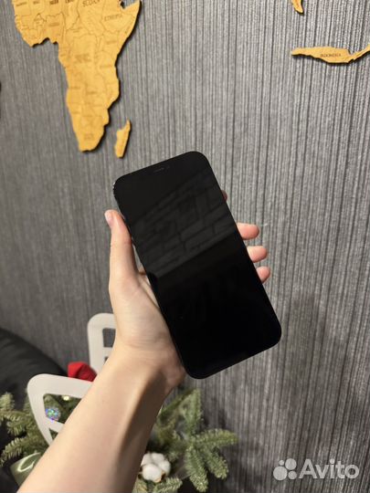 iPhone 12 Pro Max, 256 ГБ