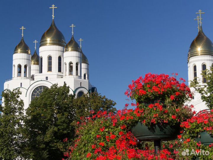 Экскурсия — Калининград — Кёнигсберг — Калининград