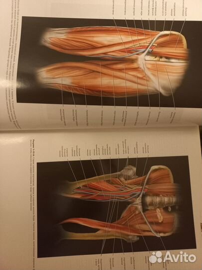 Продам атлас баггиш каррам