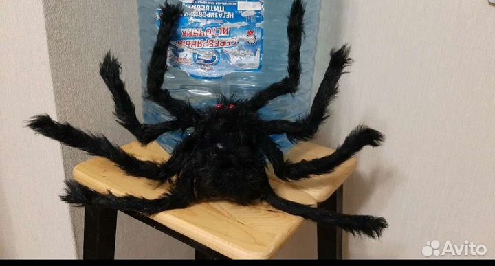 Паук для декора