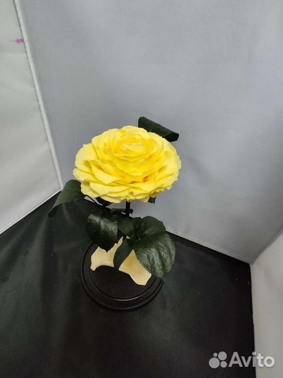 Роза в колбе оптом и в розницу