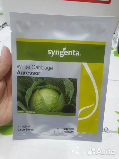 Семена капусты Агрессор 2 500с Сингента