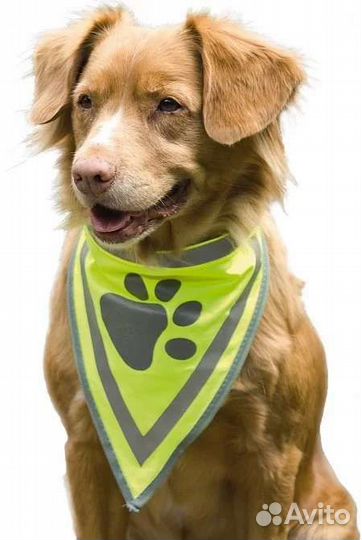 Светоотражающая косынка для собаки
