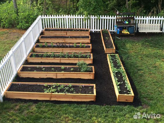 Высокие грядки