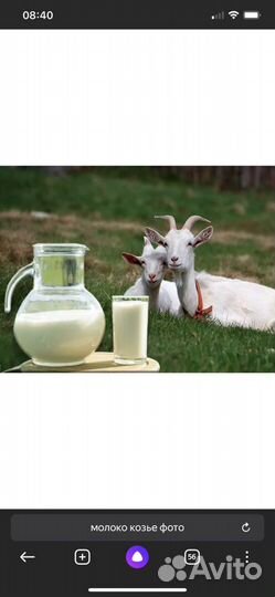 Козье молоко,куриные яйца,сало домашнее