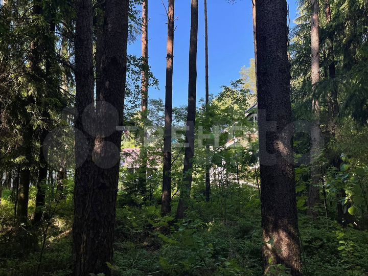 Участок 11 сот. (ИЖС)