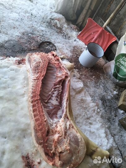Мясо(свинина)