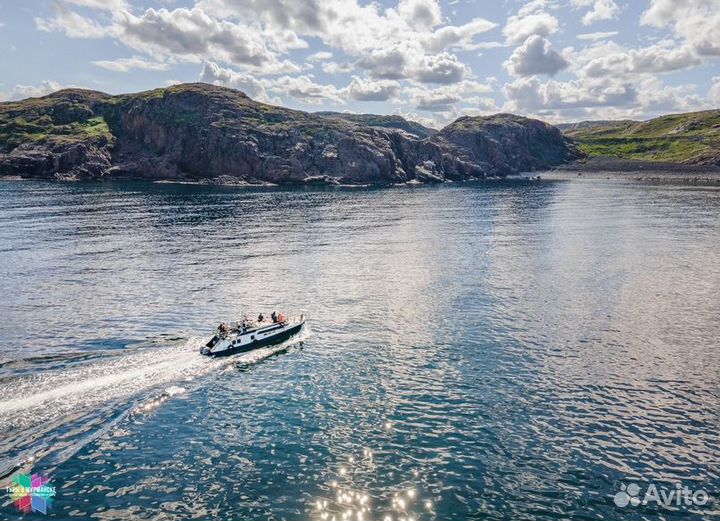 Смотреть Китов в Териберке