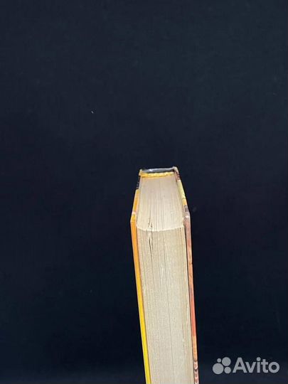 Желтая долина, или Поющие в терновнике 4