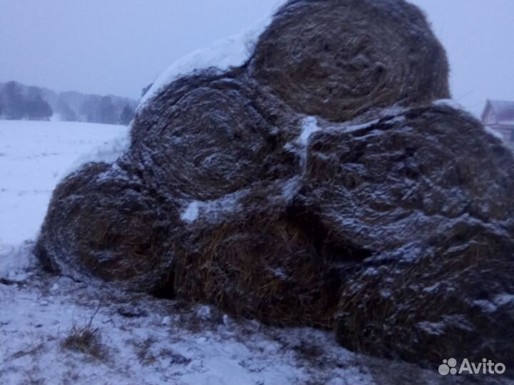 Сено-солома