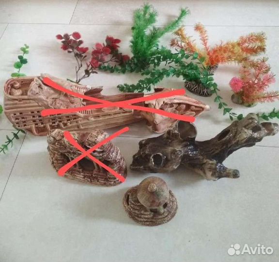 Аксессуары для аквариума, водоросли