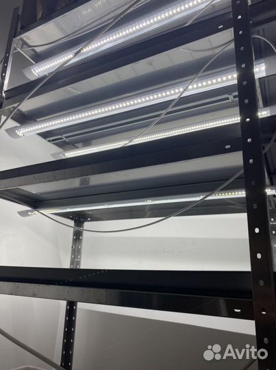 Ферма для микрозелени