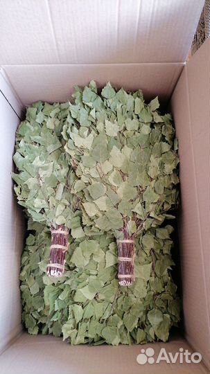 Берёзовые веники