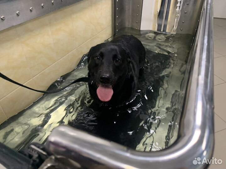 Водная беговая дорожка